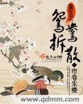 重生之鸳鸯拆散 重生之鸳鸯拆散